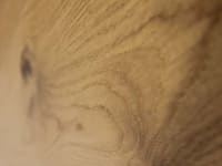 20x180 Engineered Oak Oiled - Character Grade