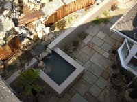 Mint Fossil Indian Sandstone Calibrated