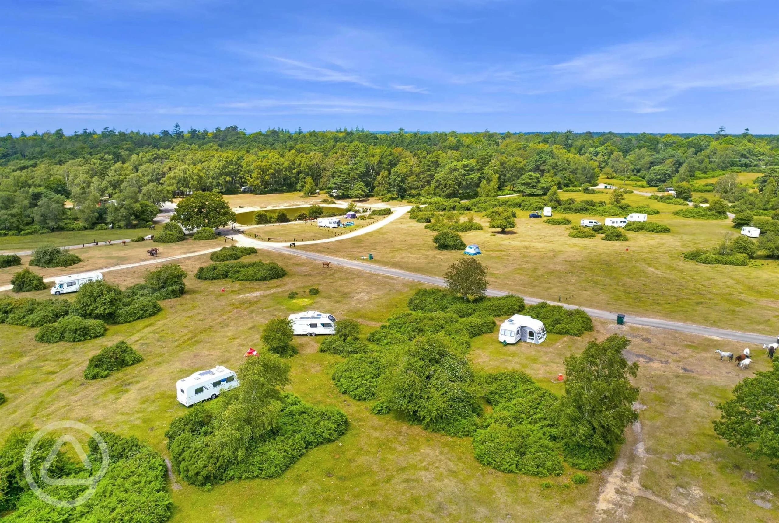 Roundhill Campsite taken by Camping in the New Forest