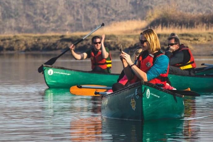 Exciting Group Activities in the New Forest