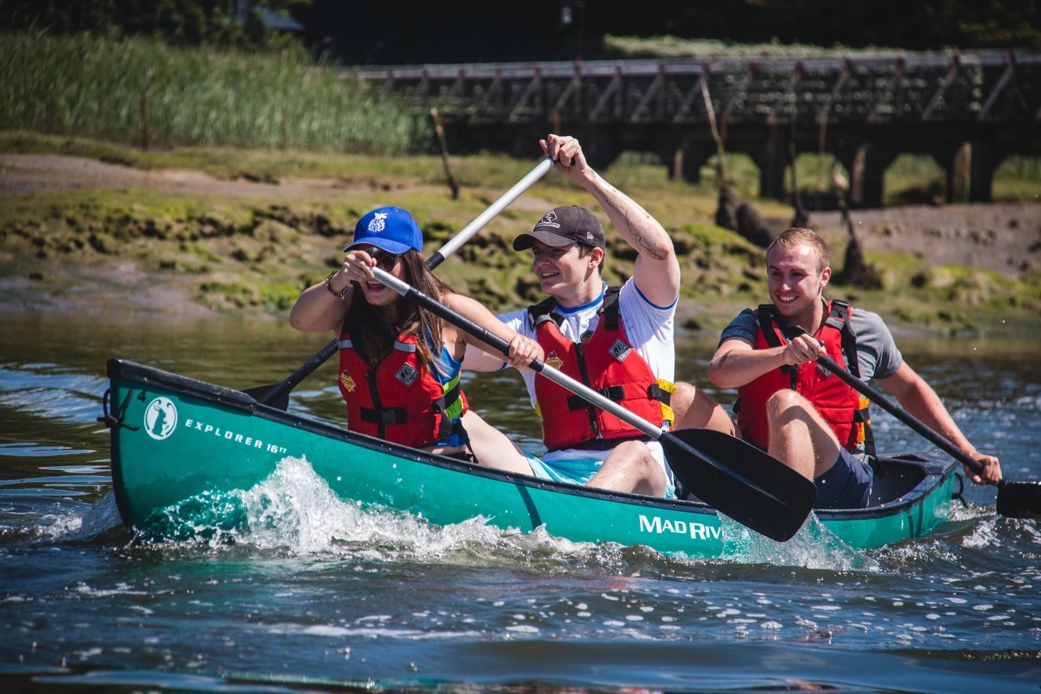 A group of colleagues canoeing on the Beaulieu River as part of a team building day