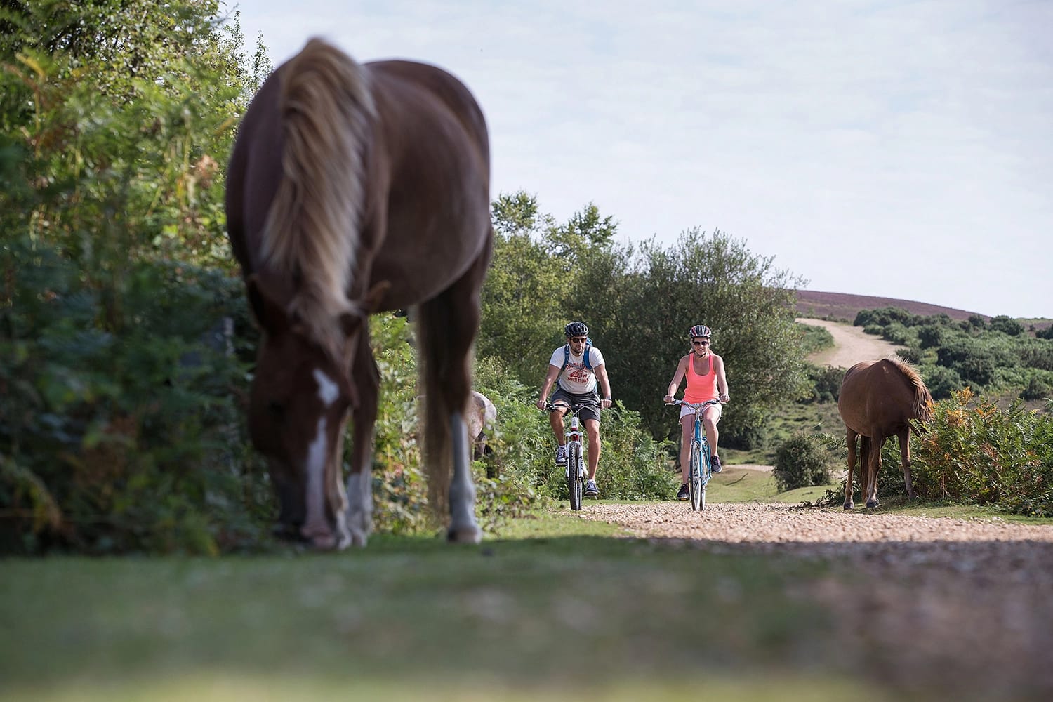 Our team are on hand to fit you with the perfect bike for your full day bike hire.