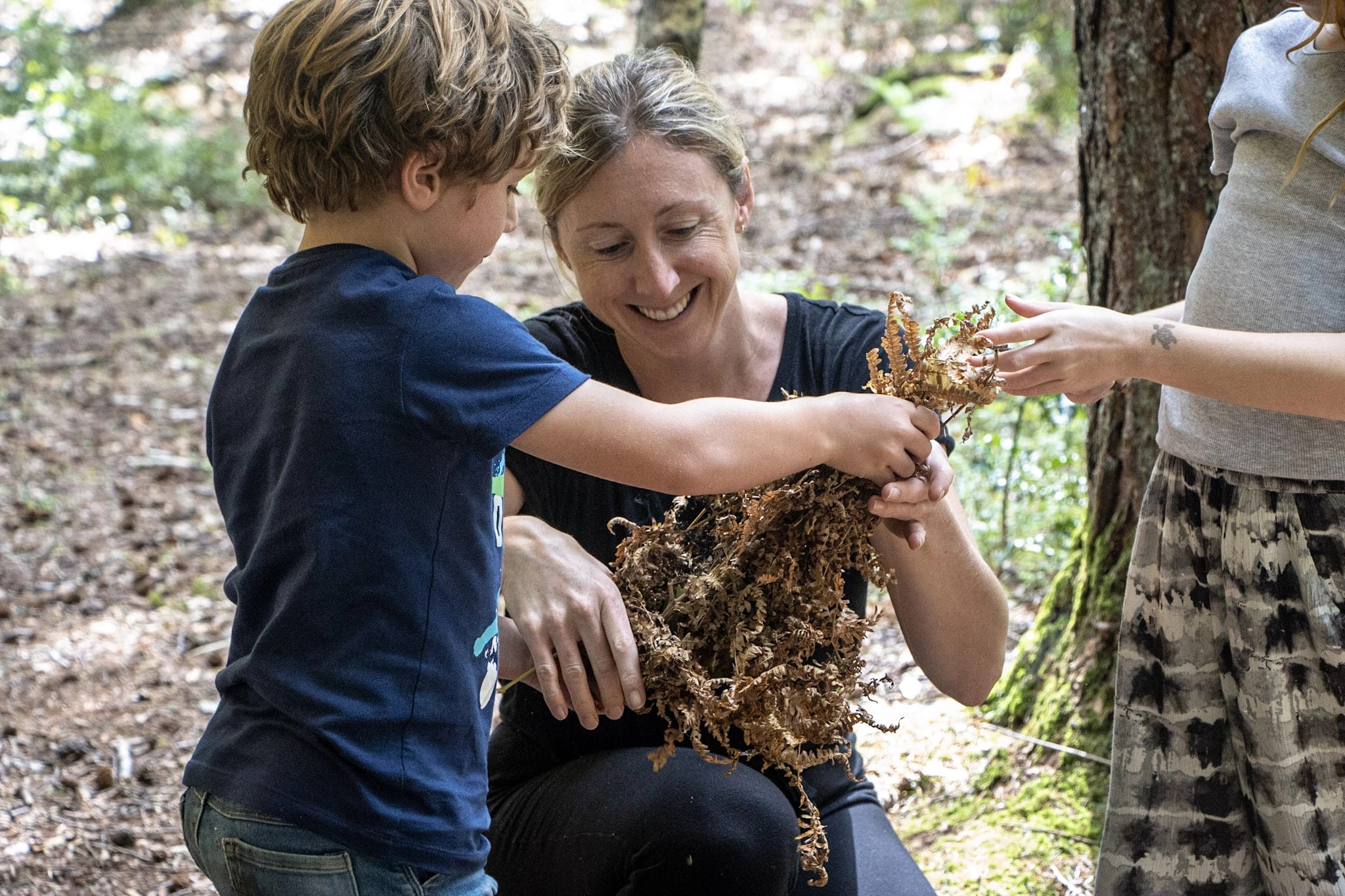 Your Bushcraft Questions, Answered