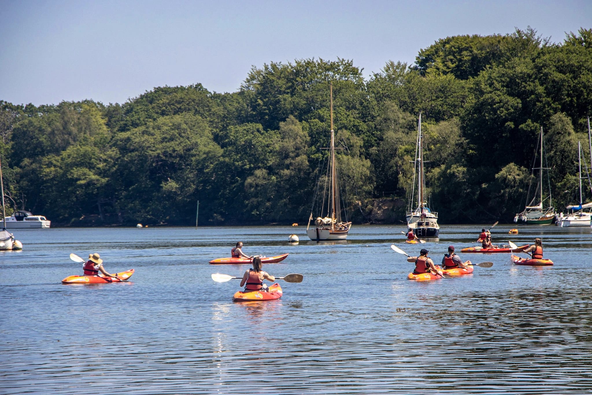 Your Kayaking Questions, Answered 