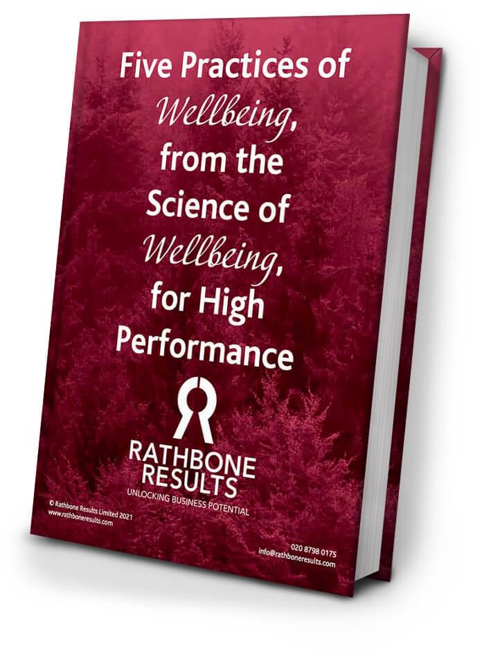 Wellbeing eBook