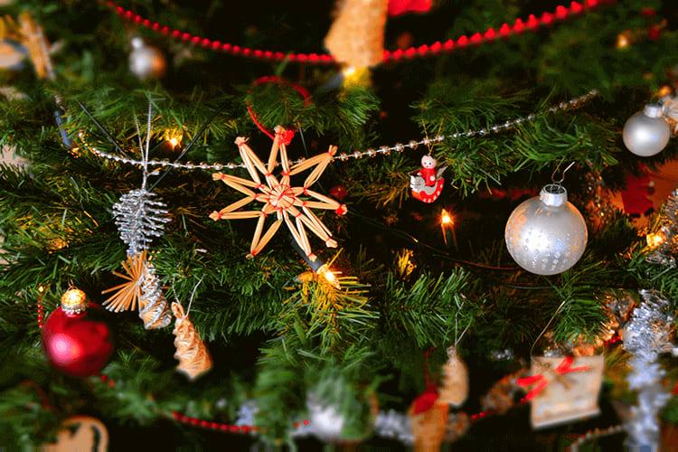 Merry Christmas from Website Success