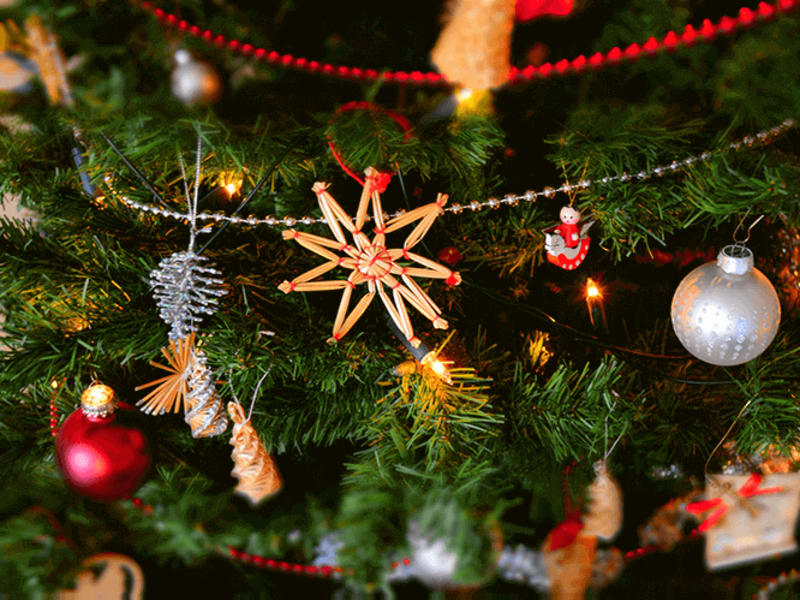 Merry Christmas from Website Success