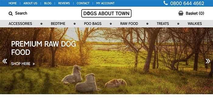 Dogs About Town Goes Live!