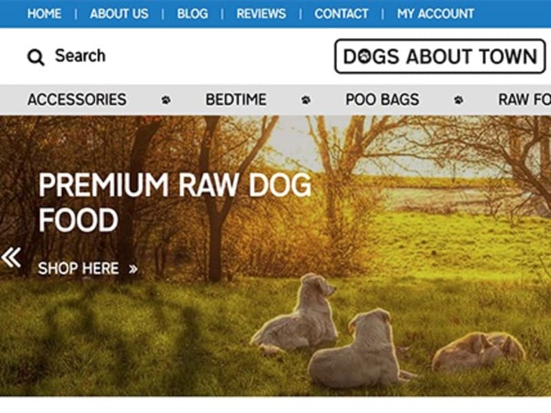 Dogs About Town Goes Live!
