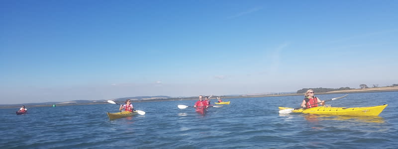 Website Success take to the Sea