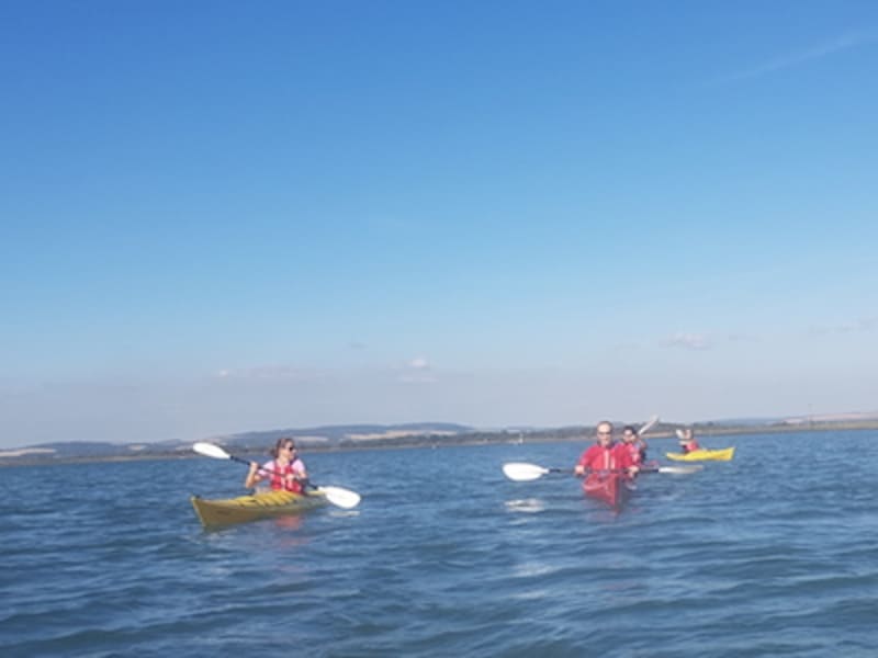Website Success take to the Sea