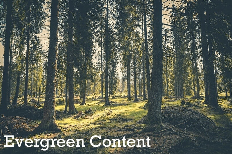 A Quick Guide: Evergreen Content