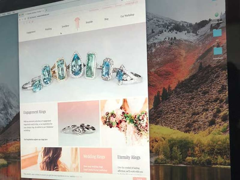 Timothy Roe website is now live!