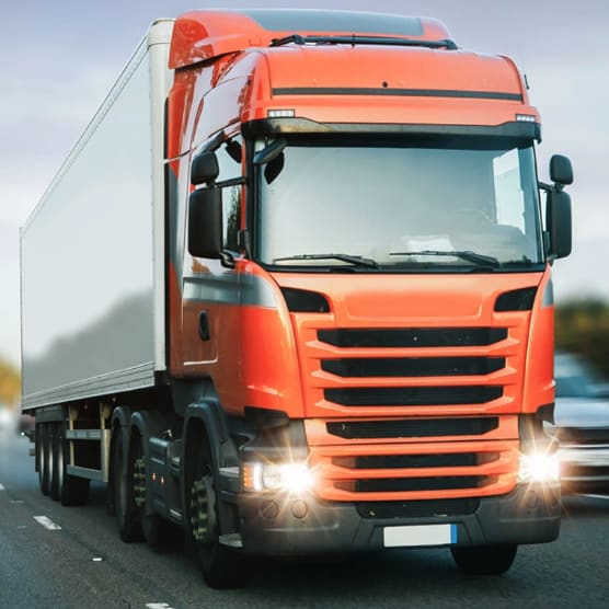 LDP Transport List Image